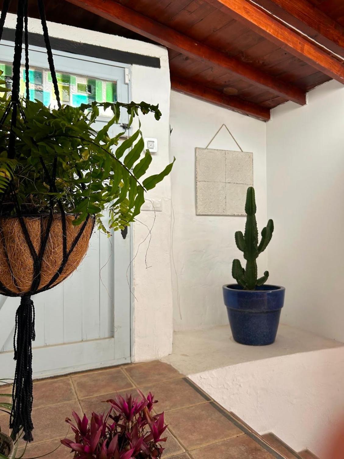 Conil Casa Mialma Lanzaroteヴィラ エクステリア 写真